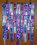 Denim and Ribbon Wall Hanging... a great way to display all those show ribbons!